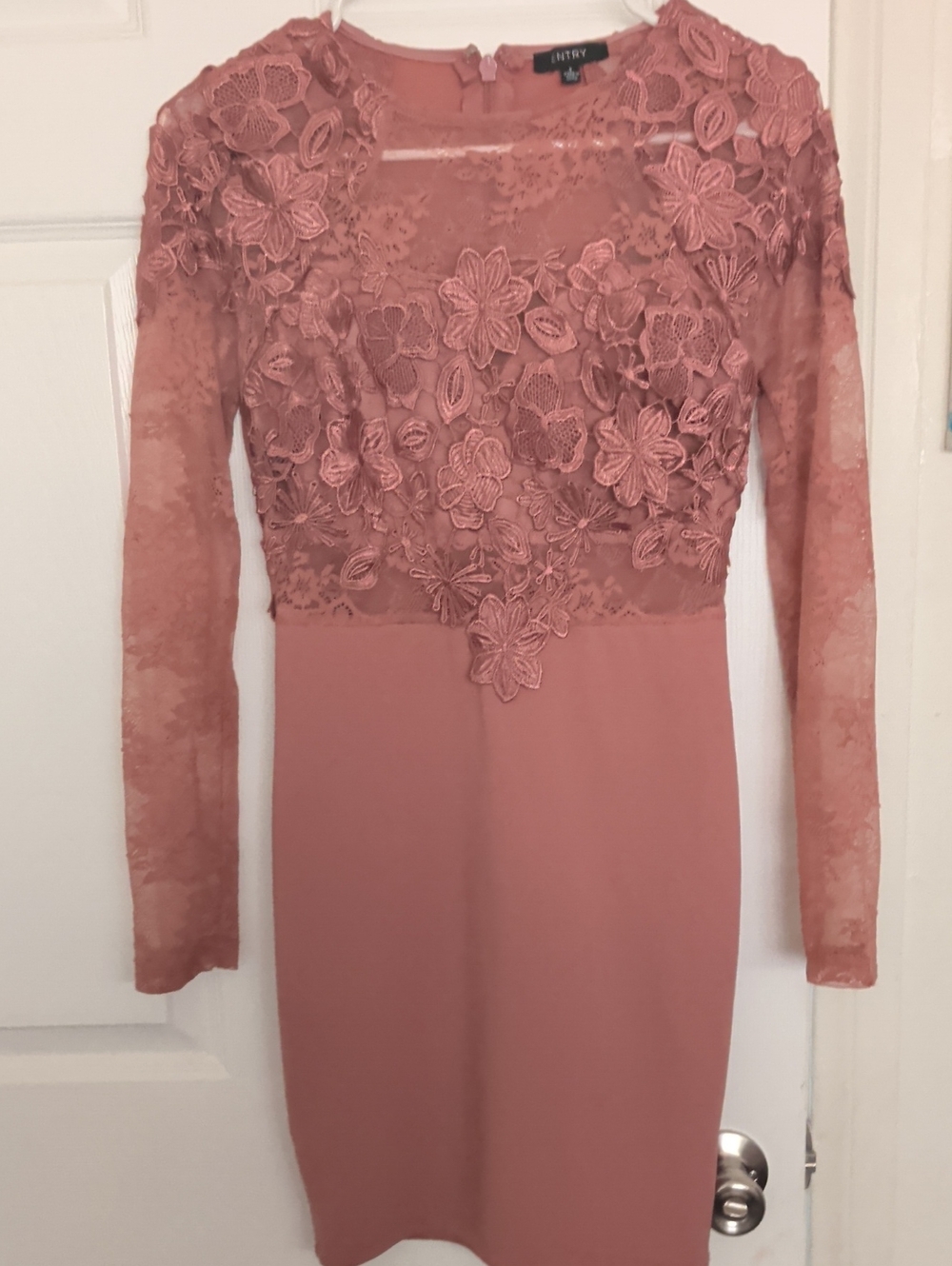 Entry Dusty Rose Long-Sleeve Floral Lace Sheath Dress